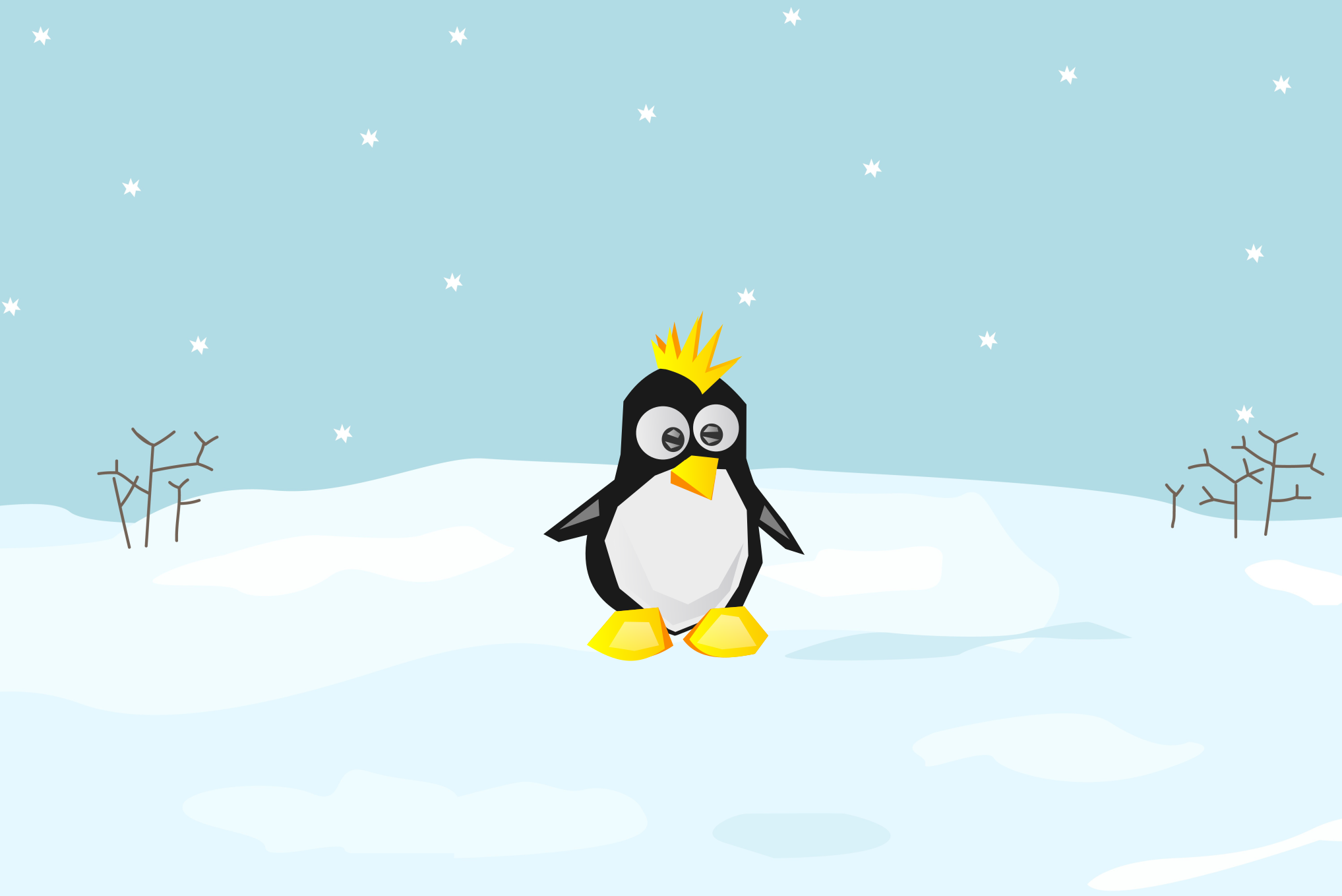 Software company hero image
